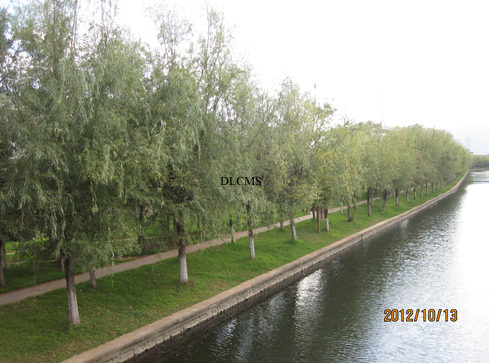 船房河景觀(guān)施工實(shí)景-景觀(guān)施工