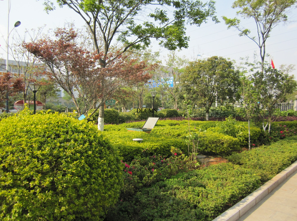 華電大樓景觀(guān)施工實(shí)景-景觀(guān)施工